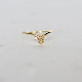 Anillo Nivá Turquesa